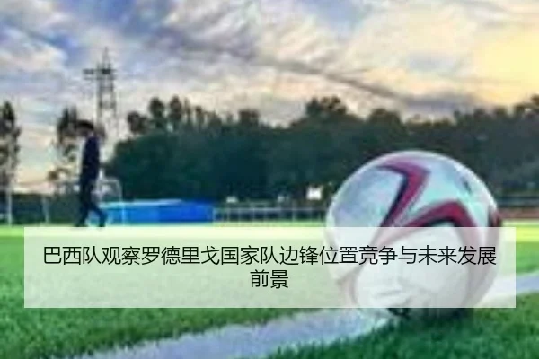 巴西队观察罗德里戈国家队边锋位置竞争与未来发展前景
